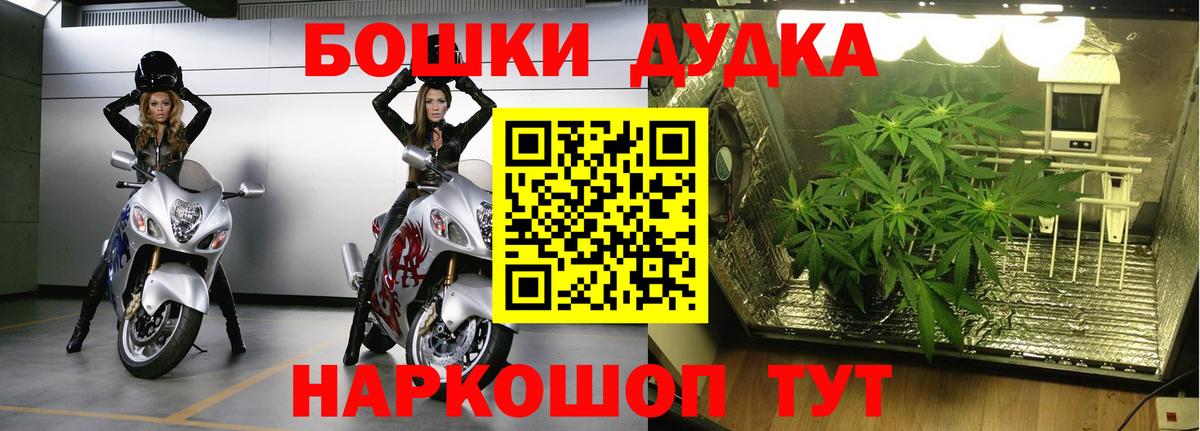 Бошки Шишки марихуана Тимашёвск